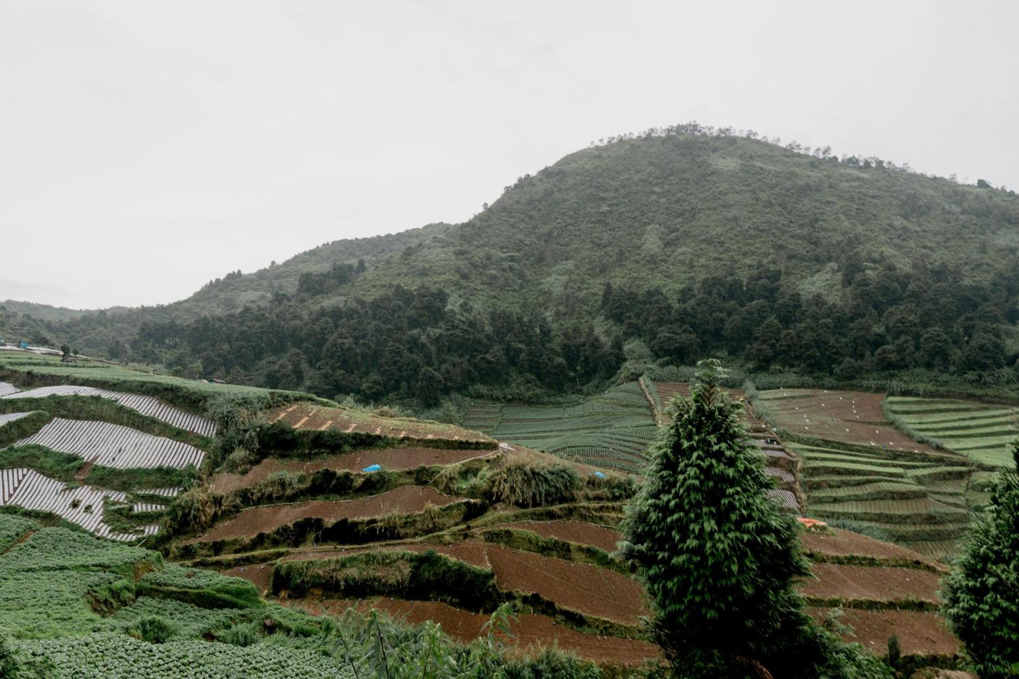 Satha Private Villa Dieng Banjarnegara エクステリア 写真